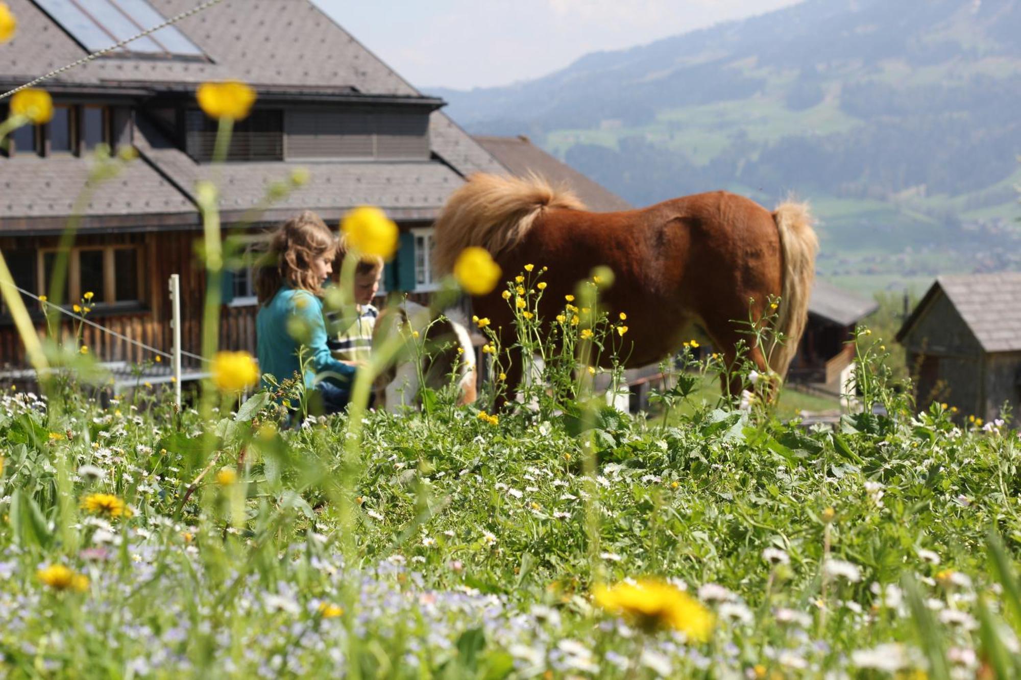 Bio Ferienbauernhof Greber Schwarzenberg im Bregenzerwald Exterior foto