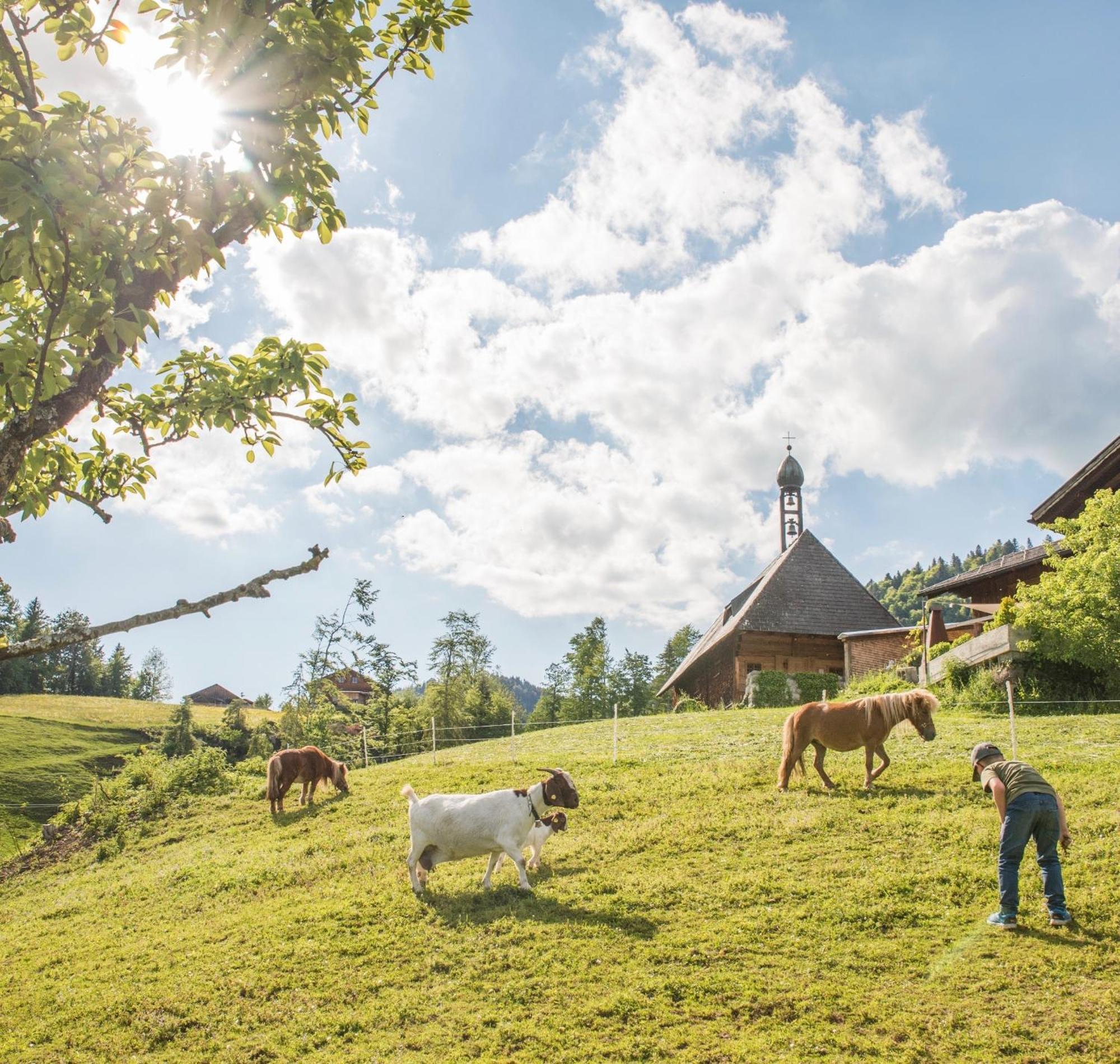 Bio Ferienbauernhof Greber Schwarzenberg im Bregenzerwald Exterior foto